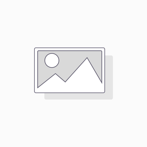 سؤال السيرة الفلسفية 
